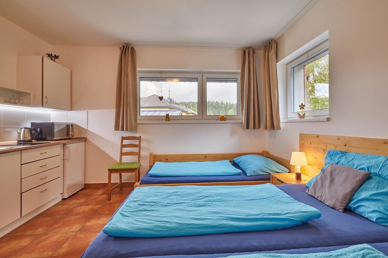 Skipension Janske Lazne Exteriör bild